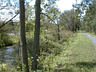 OVERGROWN CANAL