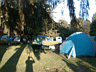 TENT CITY 1