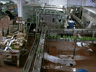 BOTTLE CLEANING