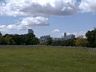 ALBANY SKYLINE